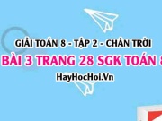 Bài 3 trang 28 Toán 8 Tập 2 Chân trời sáng tạo